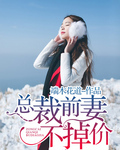 總裁前妻不掉價