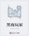 黑夜玩家
